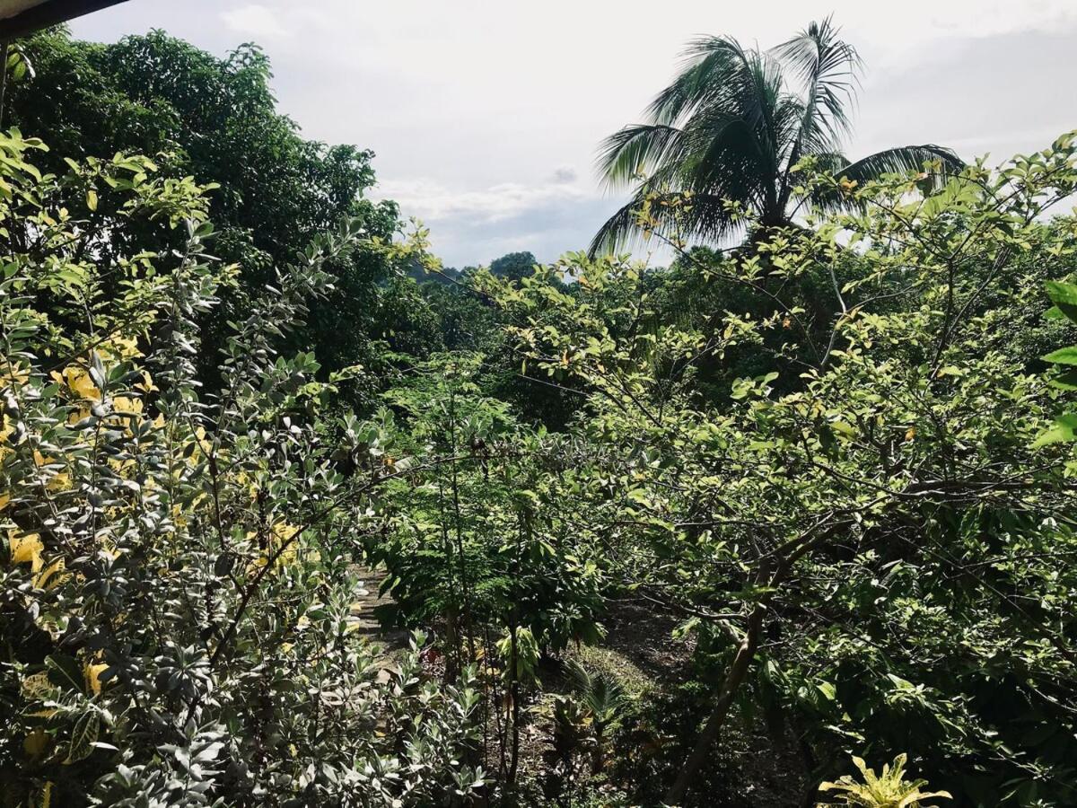 Private Nature Abode Near Beaches And Springs * Tabogon