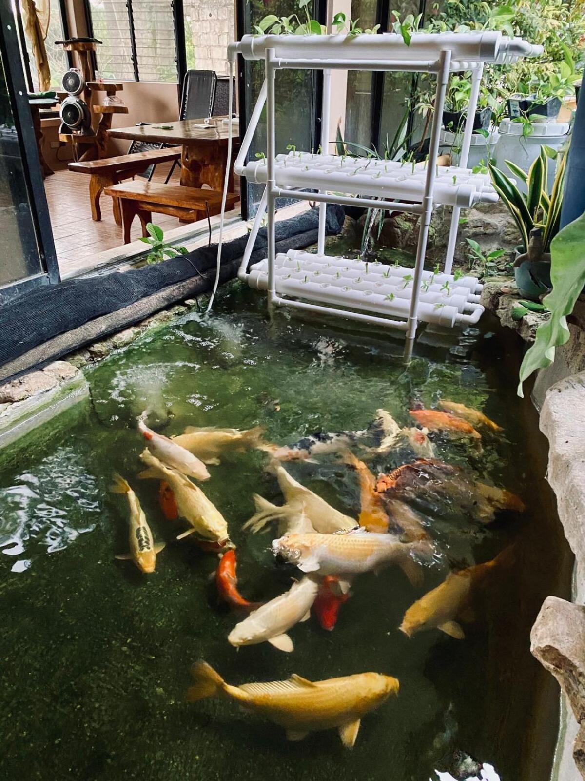 Private Nature Abode Near Beaches And Springs Bahay bakasyunan *
