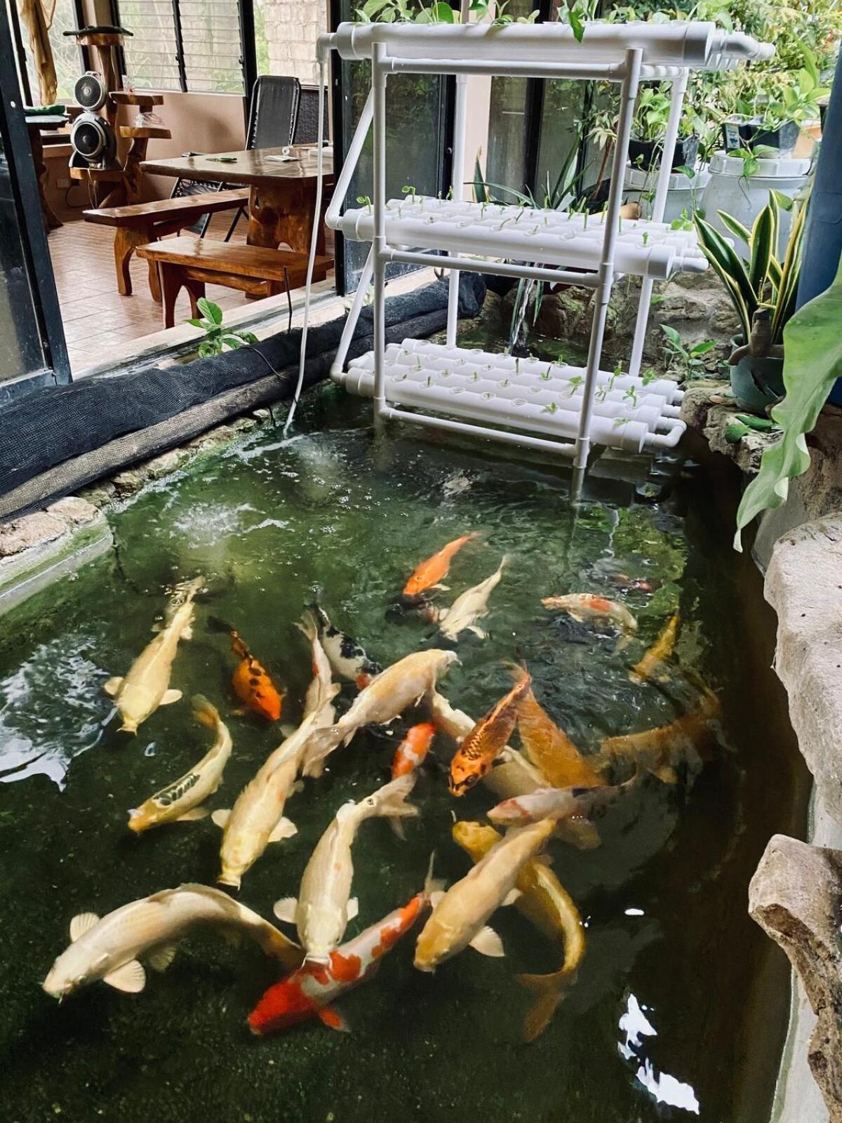 Private Nature Abode Near Beaches And Springs Bahay bakasyunan Tabogon