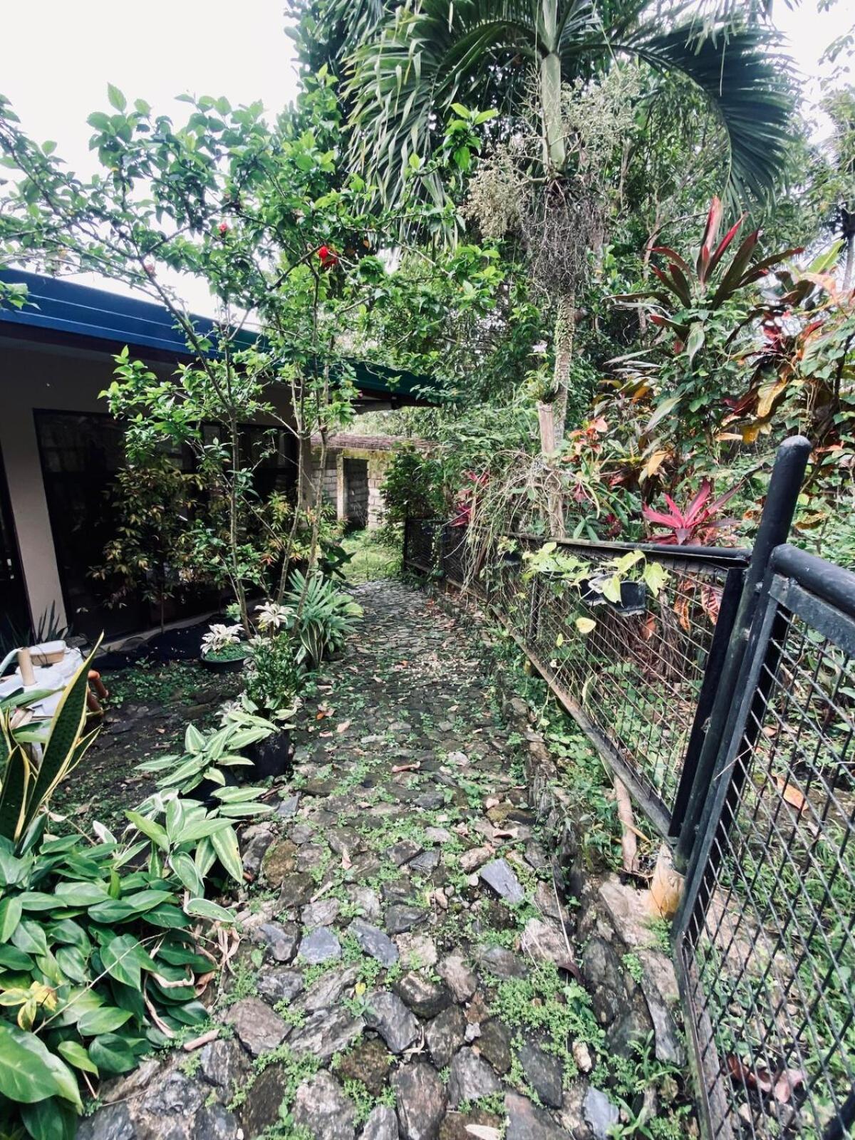 Private Nature Abode Near Beaches And Springs Bahay bakasyunan Tabogon