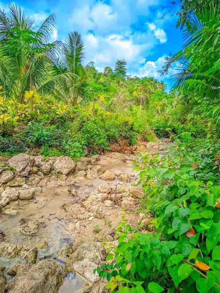 Farm stay Gkg Farm Cebu Ph