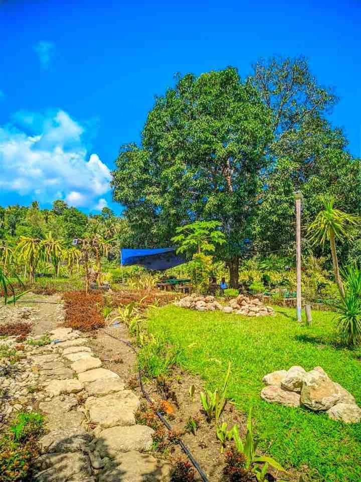 Gkg Farm Cebu Ph Farm stay