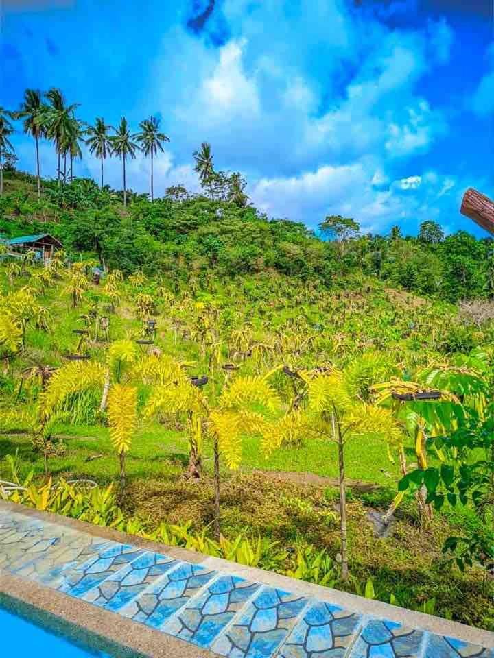 Gkg Farm Cebu Ph Farm stay *