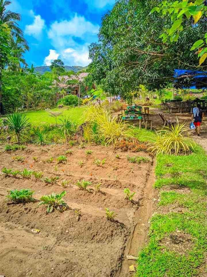 Gkg Farm Cebu Ph * Carmen (Cebu)