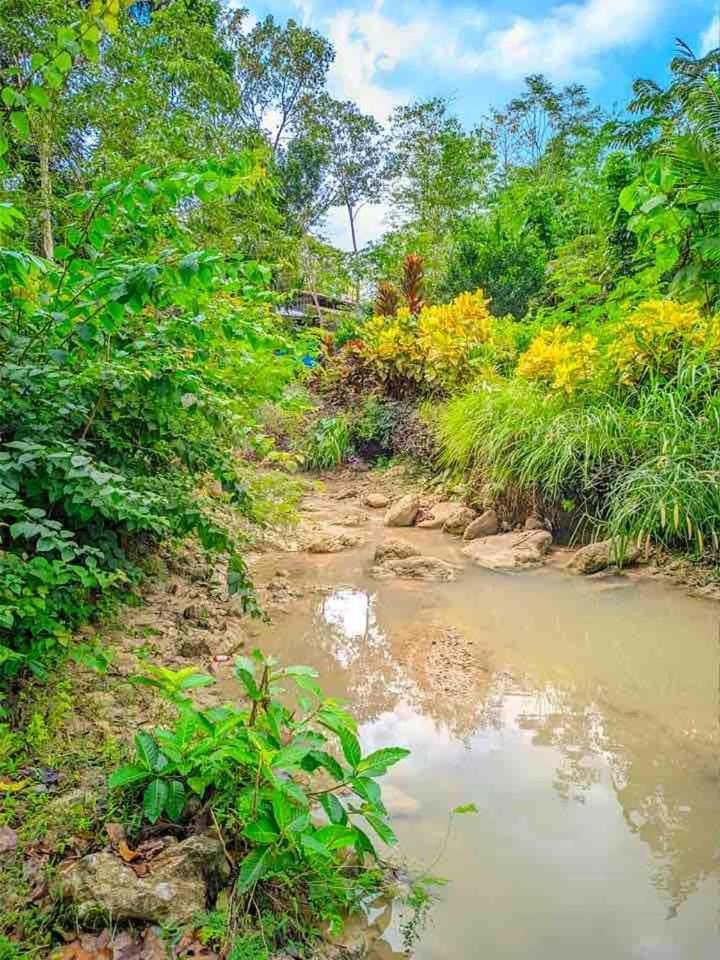 Gkg Farm Cebu Ph