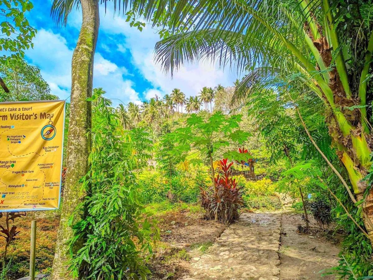 Gkg Farm Cebu Ph Farm stay