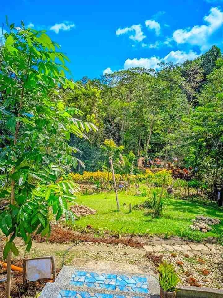 Gkg Farm Cebu Ph