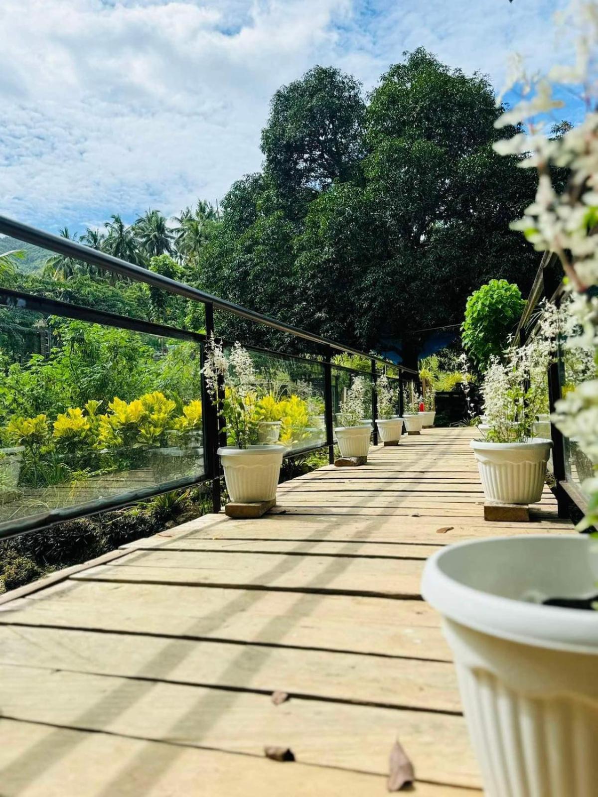 Gkg Farm Cebu Ph Carmen (Cebu)