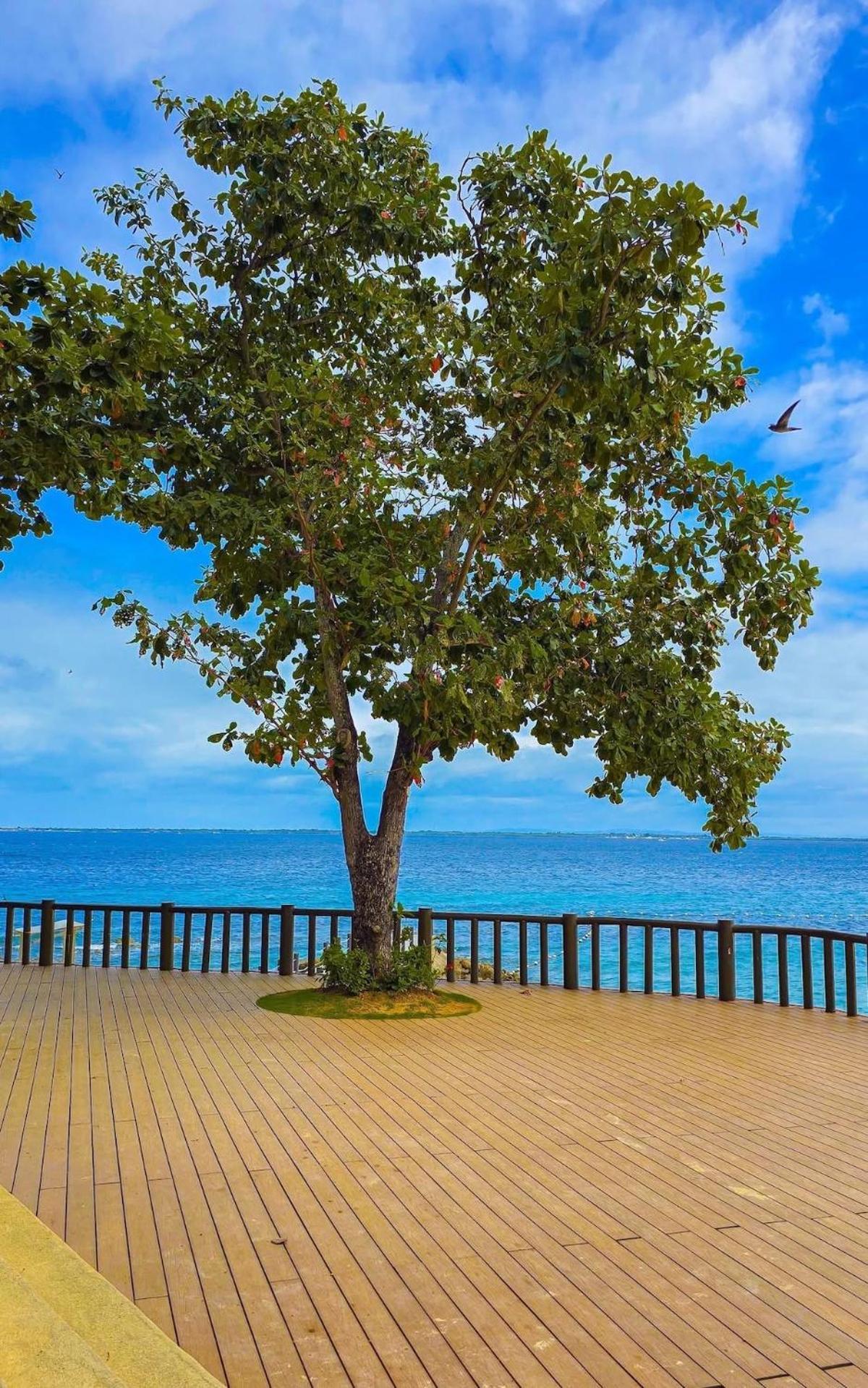 A Nice, Vibrant Place By The * Lapu-Lapu City