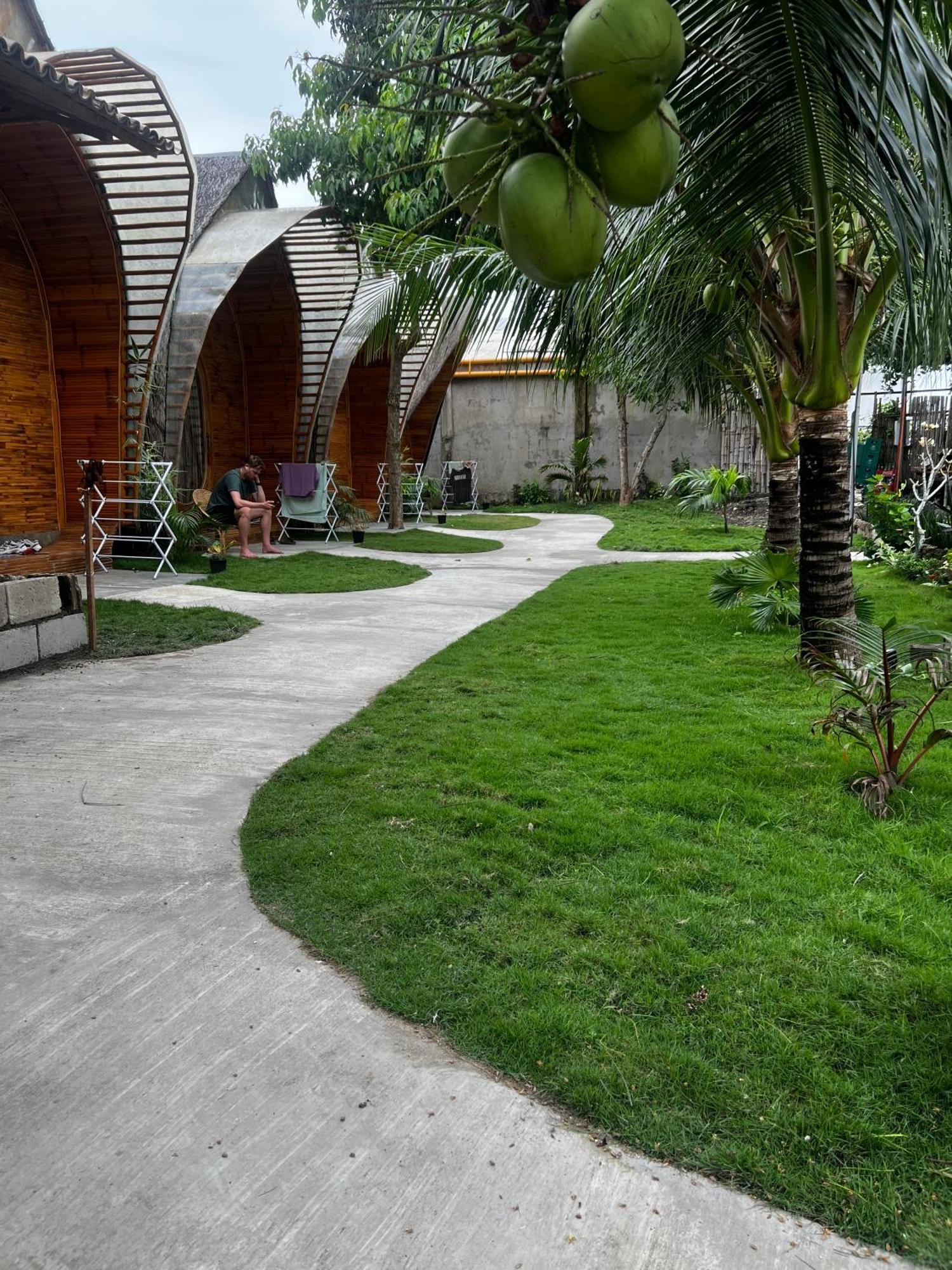 Albergue The Backyard *