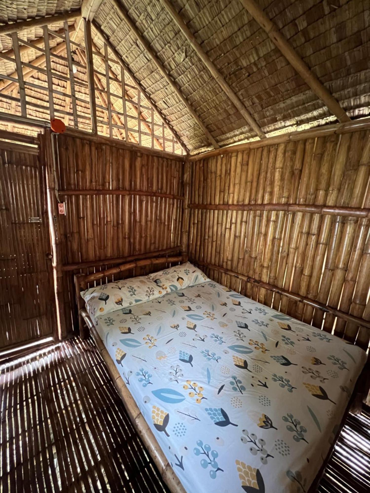 Hostel Sharky *