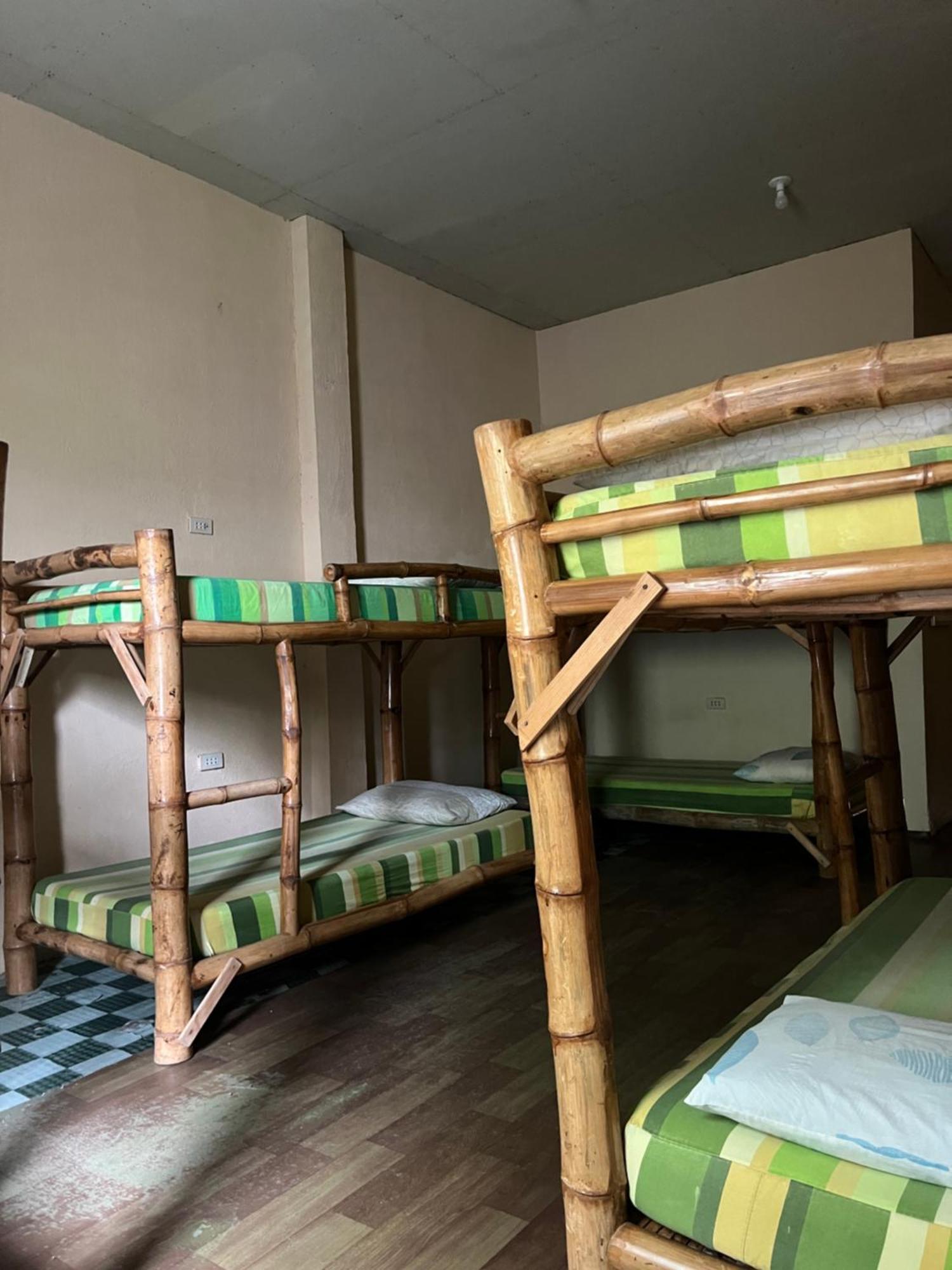 Hostel Sharky