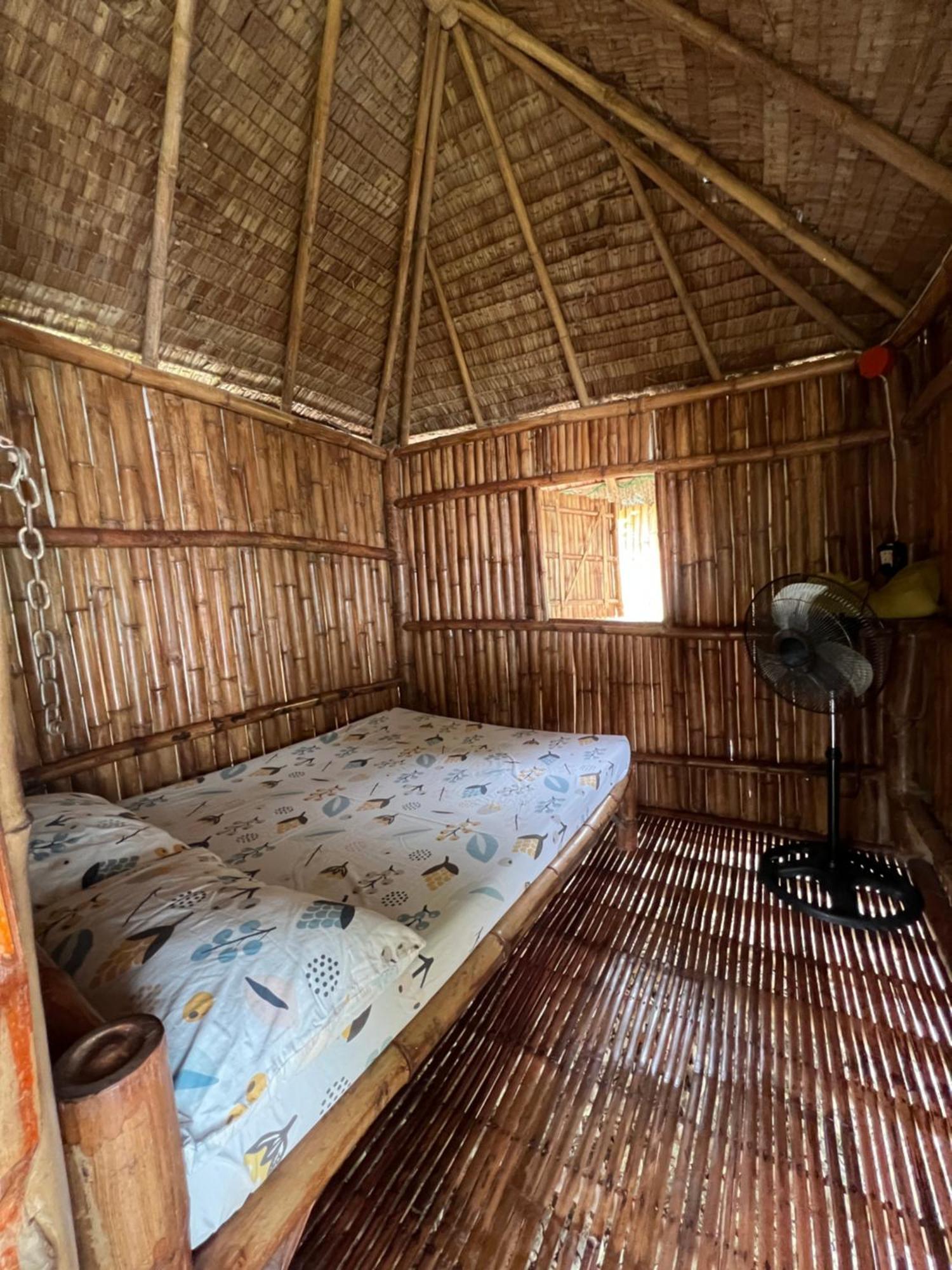 Hostel Sharky *