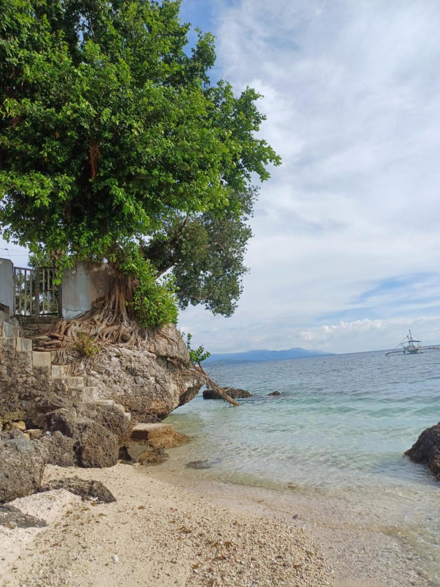 Homestay Arm Souvenir Shop&lodge Moalboal