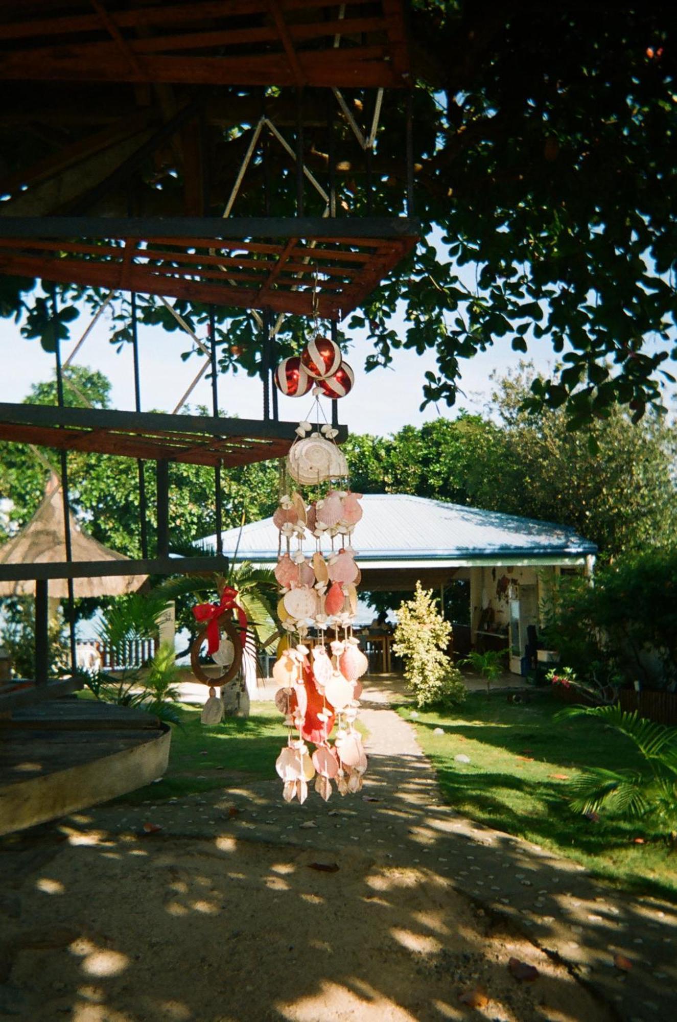 The Shuim Dive * Moalboal