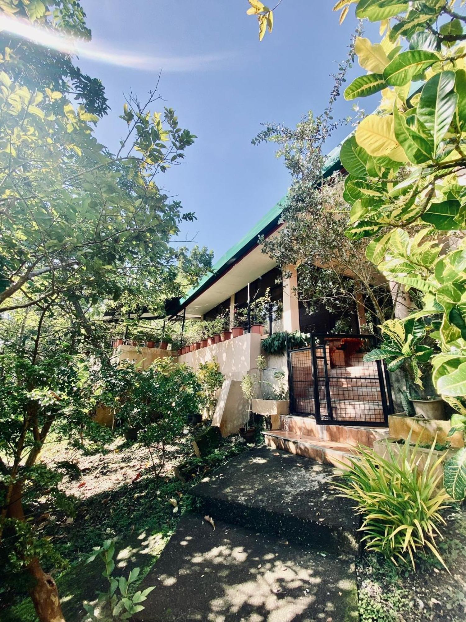 Private Nature Abode Near Beaches And Springs Bahay bakasyunan Tabogon