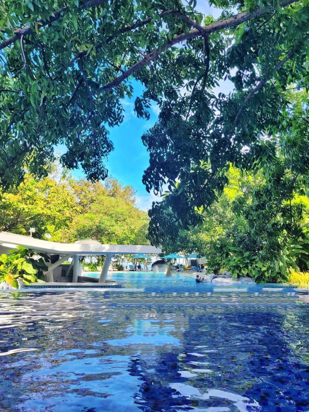 Deluxe Ocean View In Tambuli Seaside & Only 1 Residential Pool Is Free To Use *