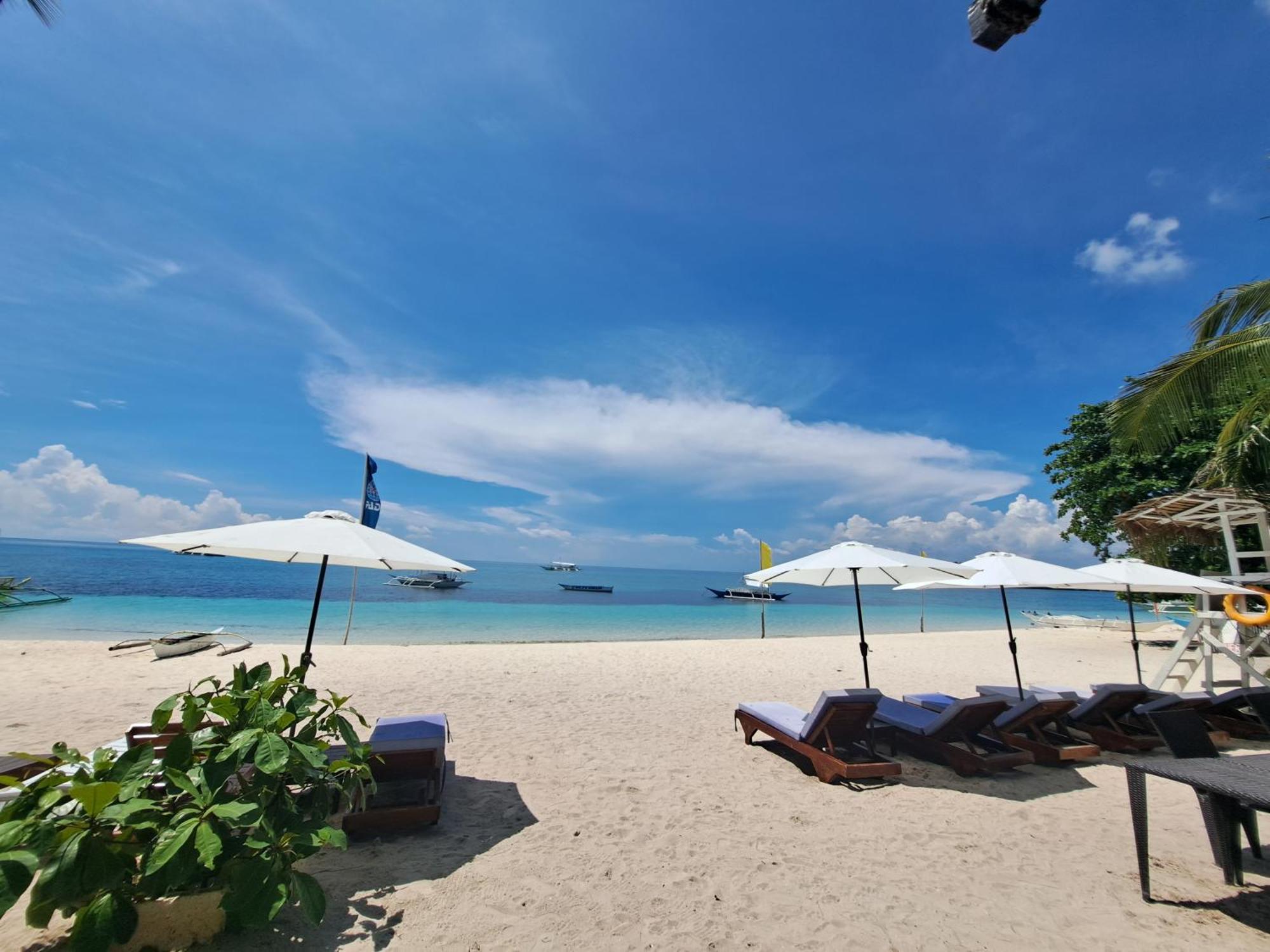 Avila's Horizon Dive Resort Logon