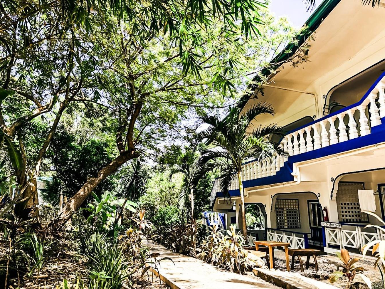 Hotel Zhang And Dive Center Opc 3*