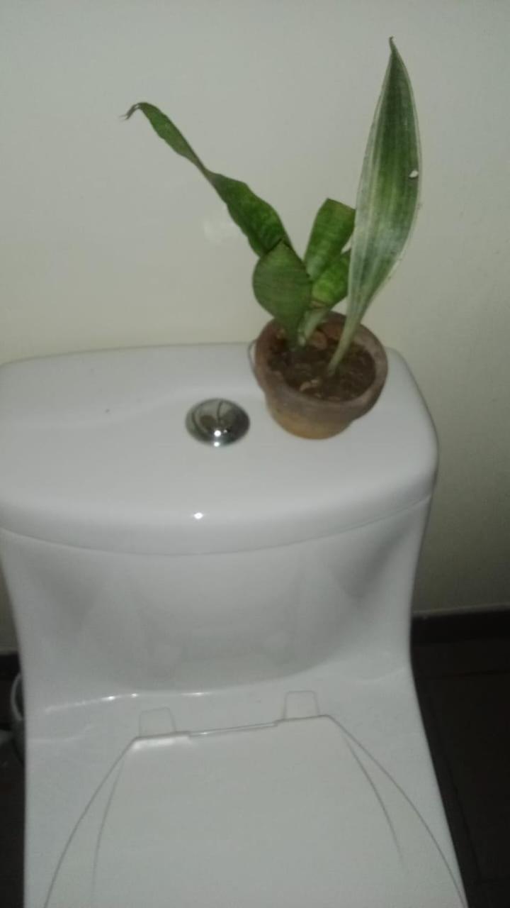Apartment Kler Garden With View Tabok