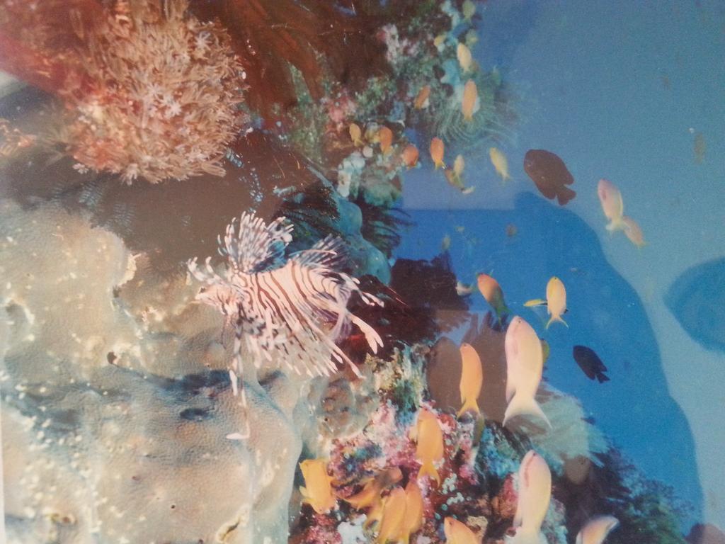 Beach House - Cebu