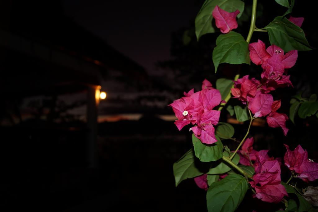 Bahay bakasyunan Beach House - Cebu *