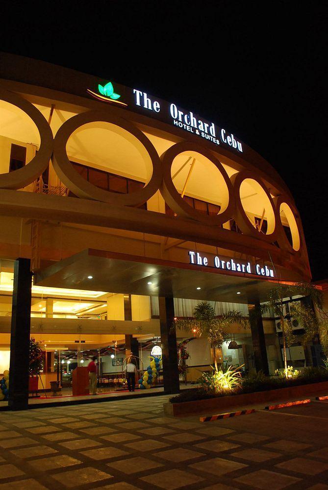 The Orchard & Powered By Cocotel Hotel Cebu