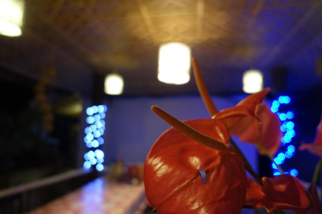 New Village Inn Oslob