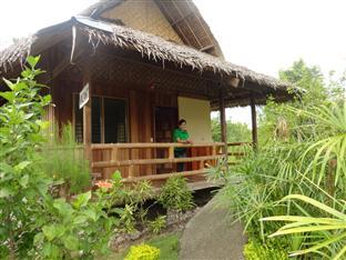 Mayas Native Garden