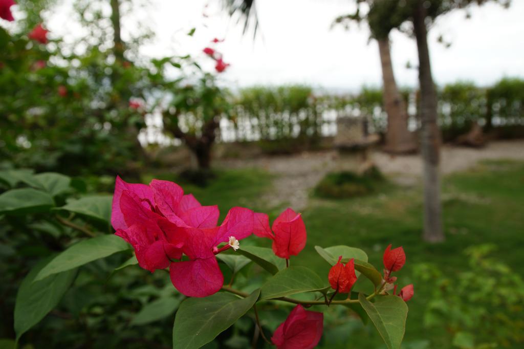 Bahay bakasyunan Beach House - Cebu *