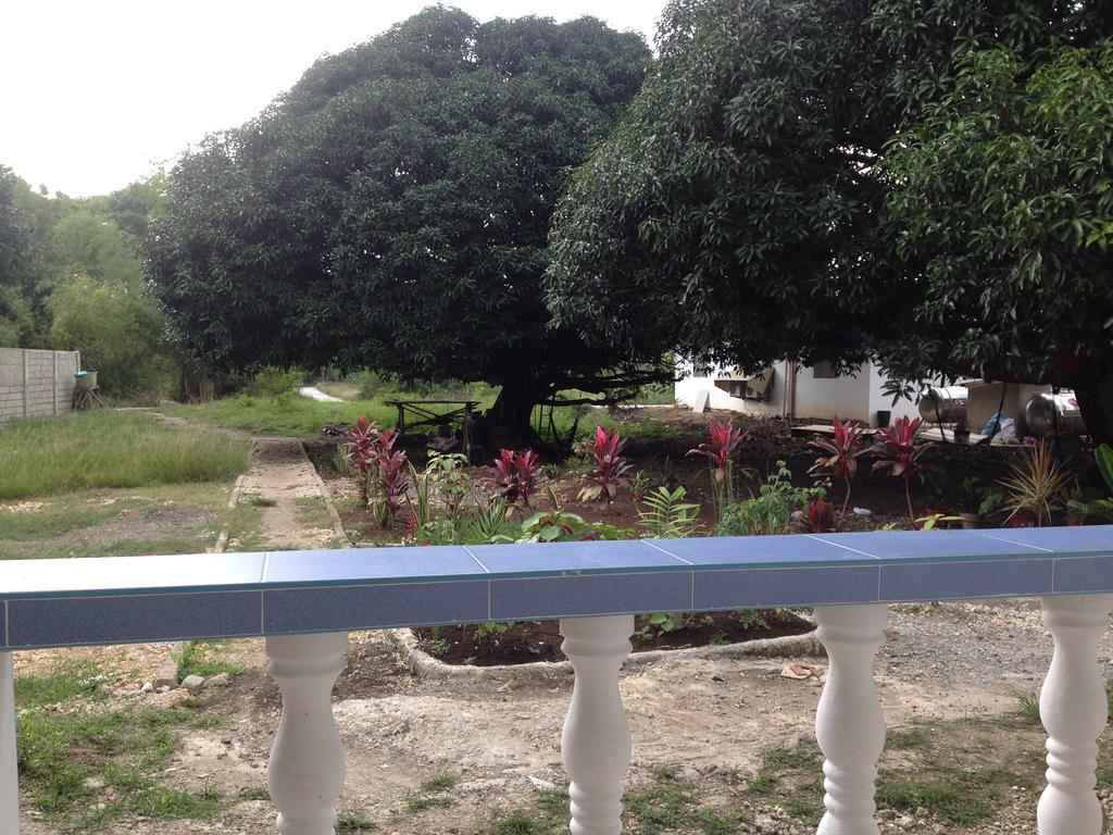 Mangoes Place Apartment *