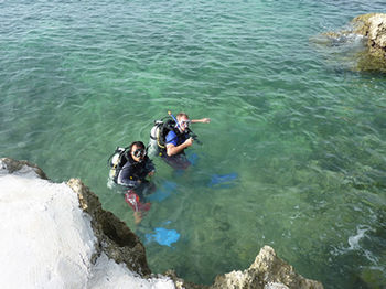 Camotes Flying Fish Poro