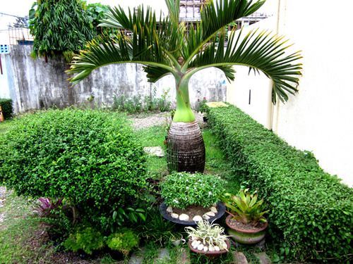bahay-panuluyan San's Mactan 2*
