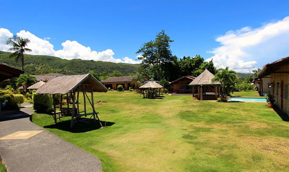Parrot Paradise 3*