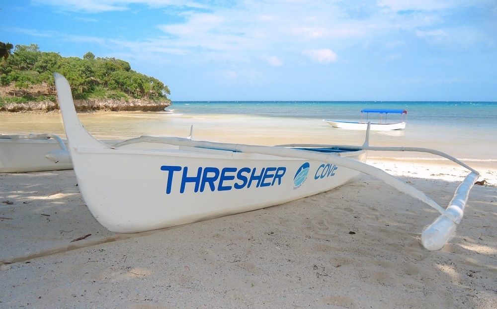 Thresher Cove Dive Resort