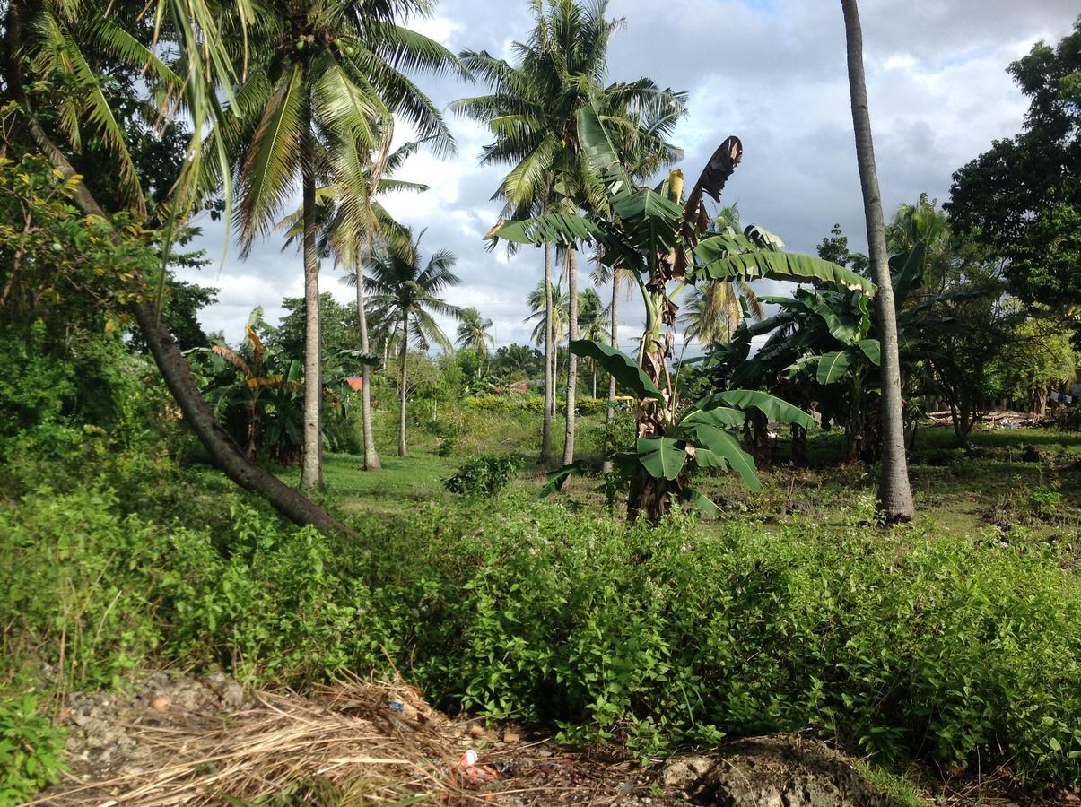 Bamboo Huts