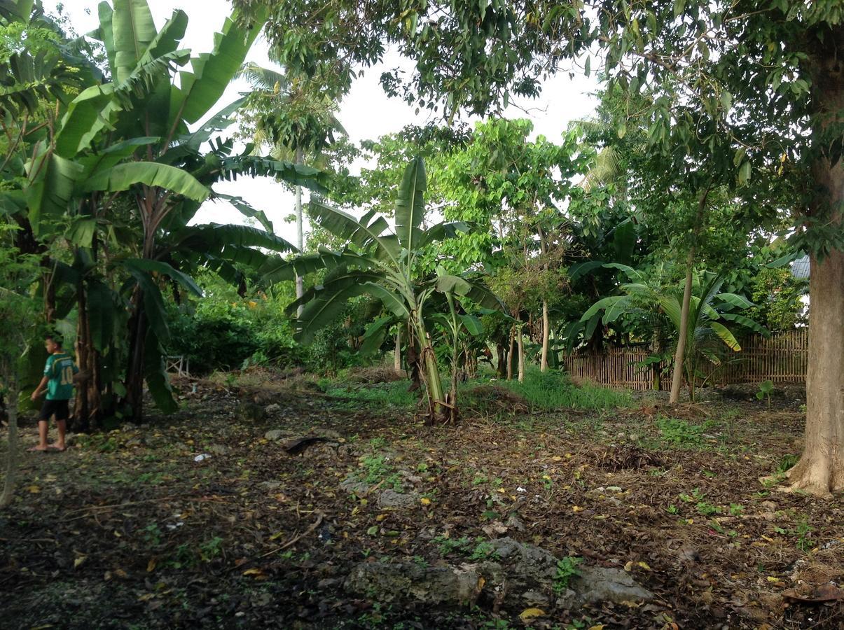 Bamboo Huts Homestay