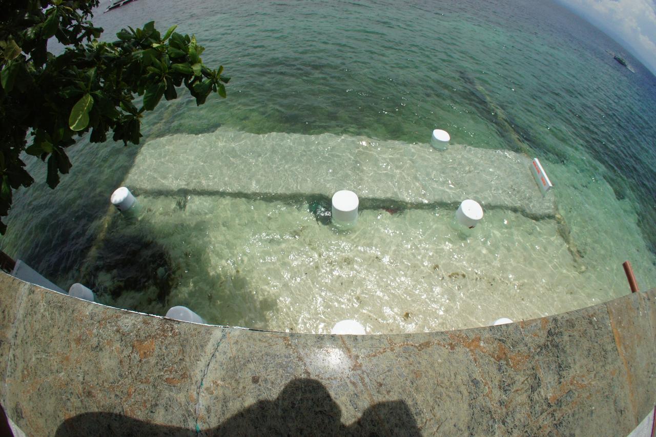 Hostel Shaka Traveler's Place (adults Only) Moalboal