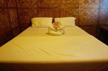 Hotel Purple Snapper Dive - Hostel/backpacker 2*