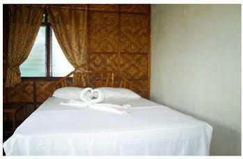 Purple Snapper Dive - Hostel/backpacker 2* Logon