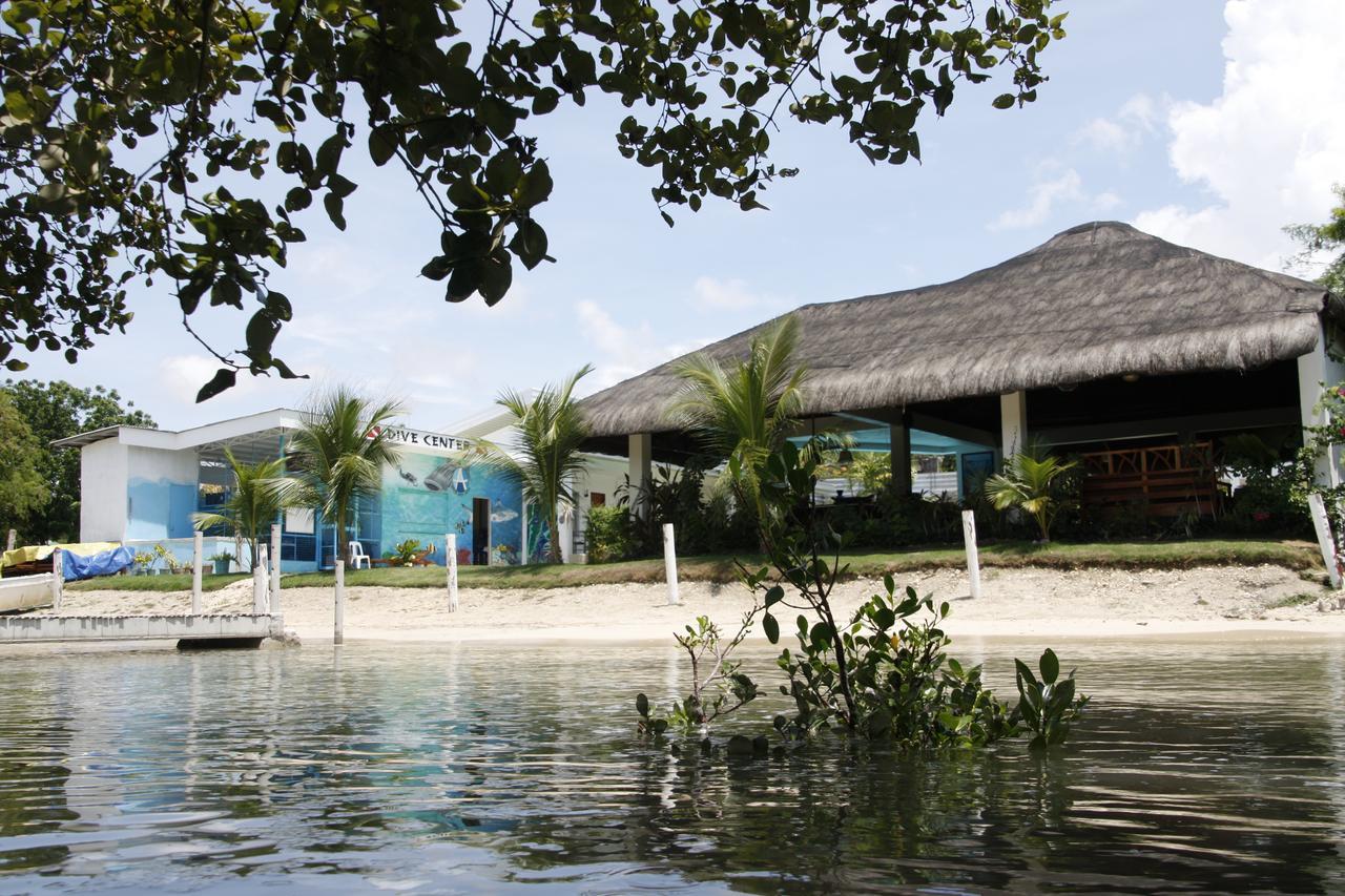 Resort Mangrove Eco