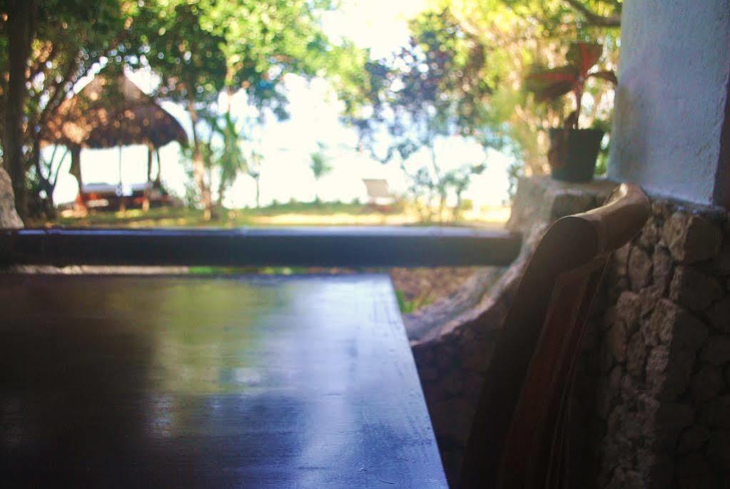 The Blue Orchid Moalboal