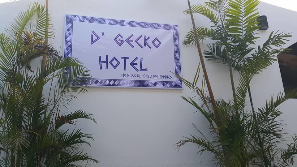 D'gecko * Moalboal