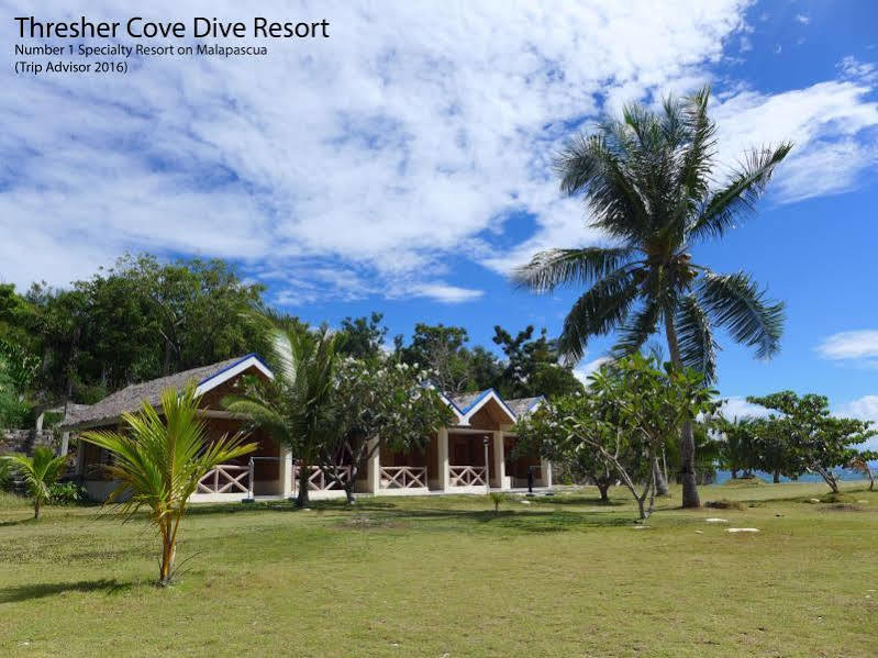 Thresher Cove Dive 3* Logon