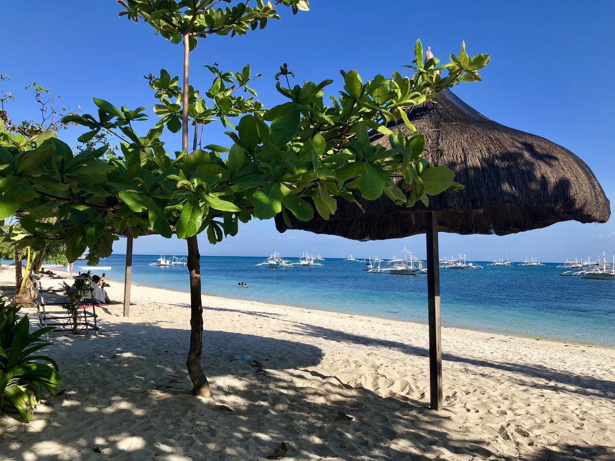 Lionfish Backpackers (adults Only)