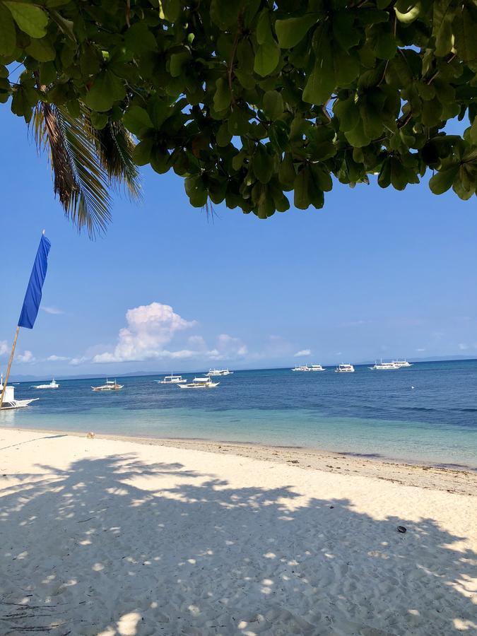 Lionfish Backpackers (adults Only)