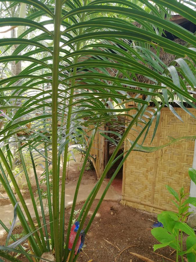 Guest house Stevrena