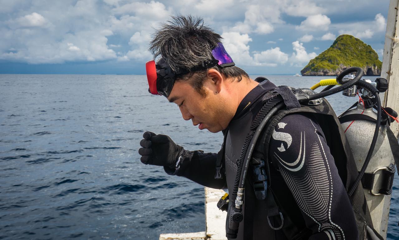 Thresher Cove Dive