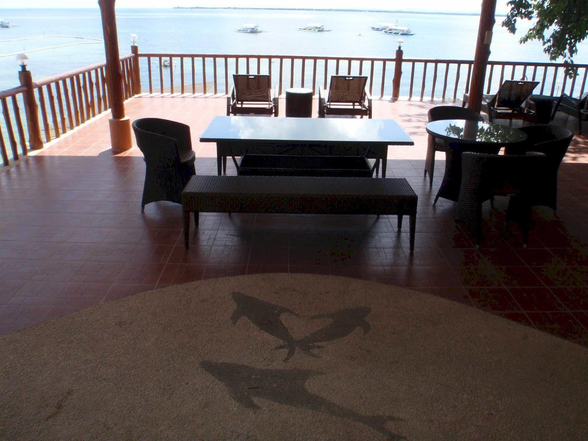 Punta House