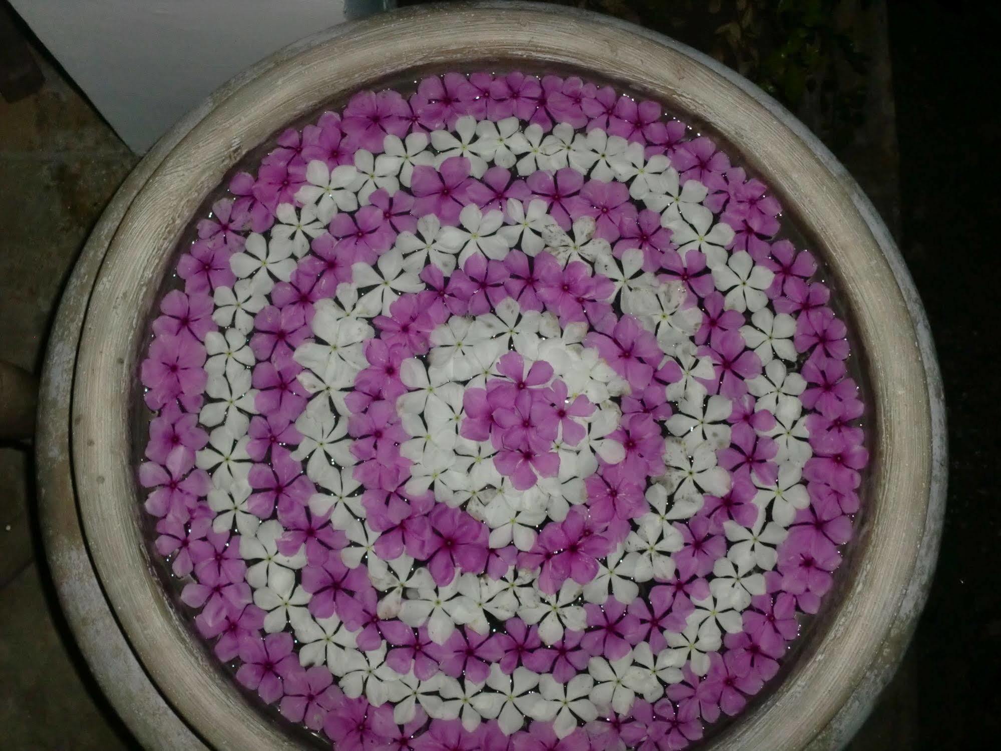 Hoyohoy 3*